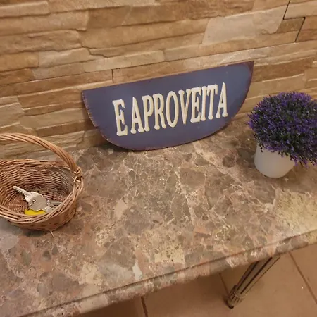 Starfish House * Furnas (Azores)